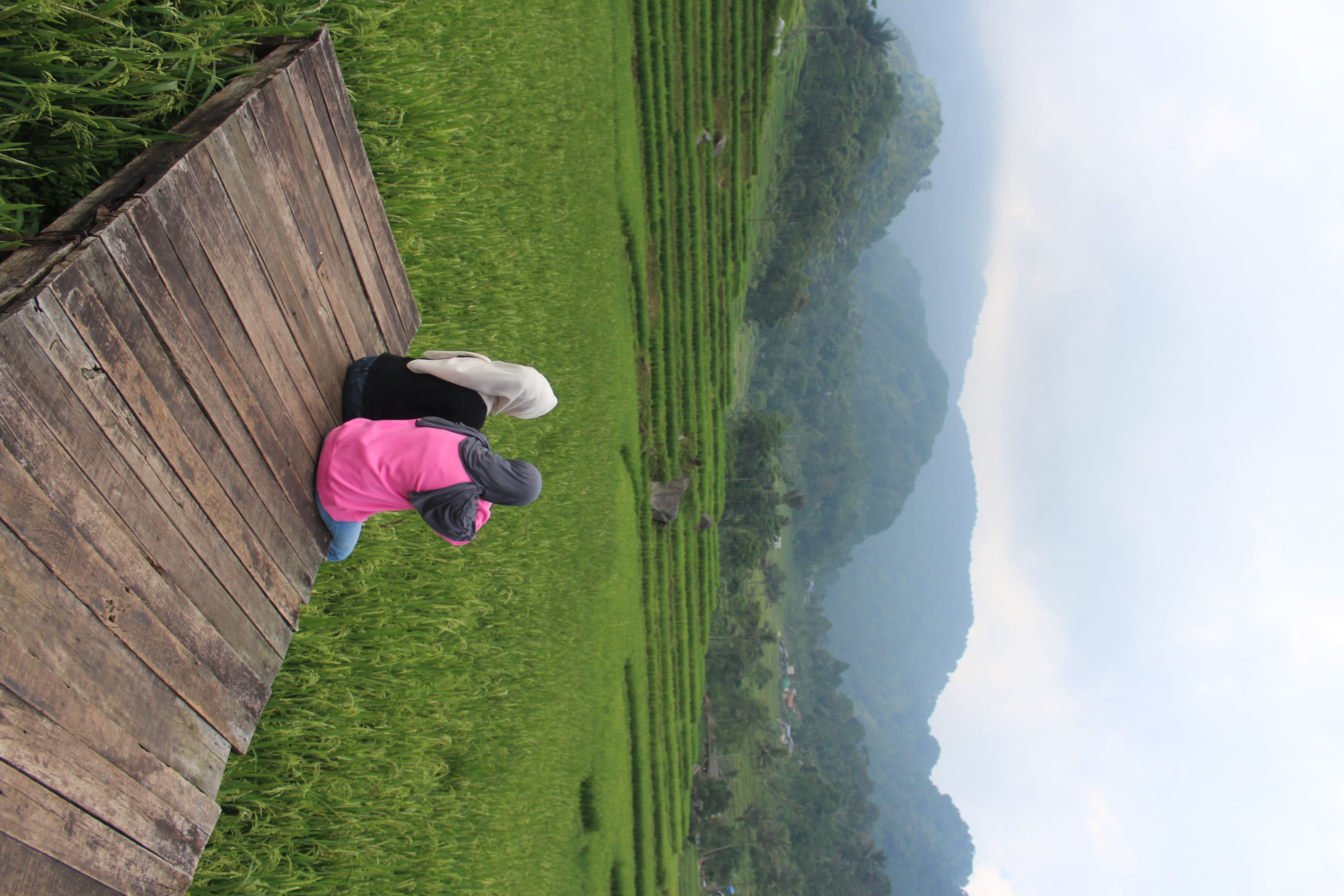 Spot Foto Terasering